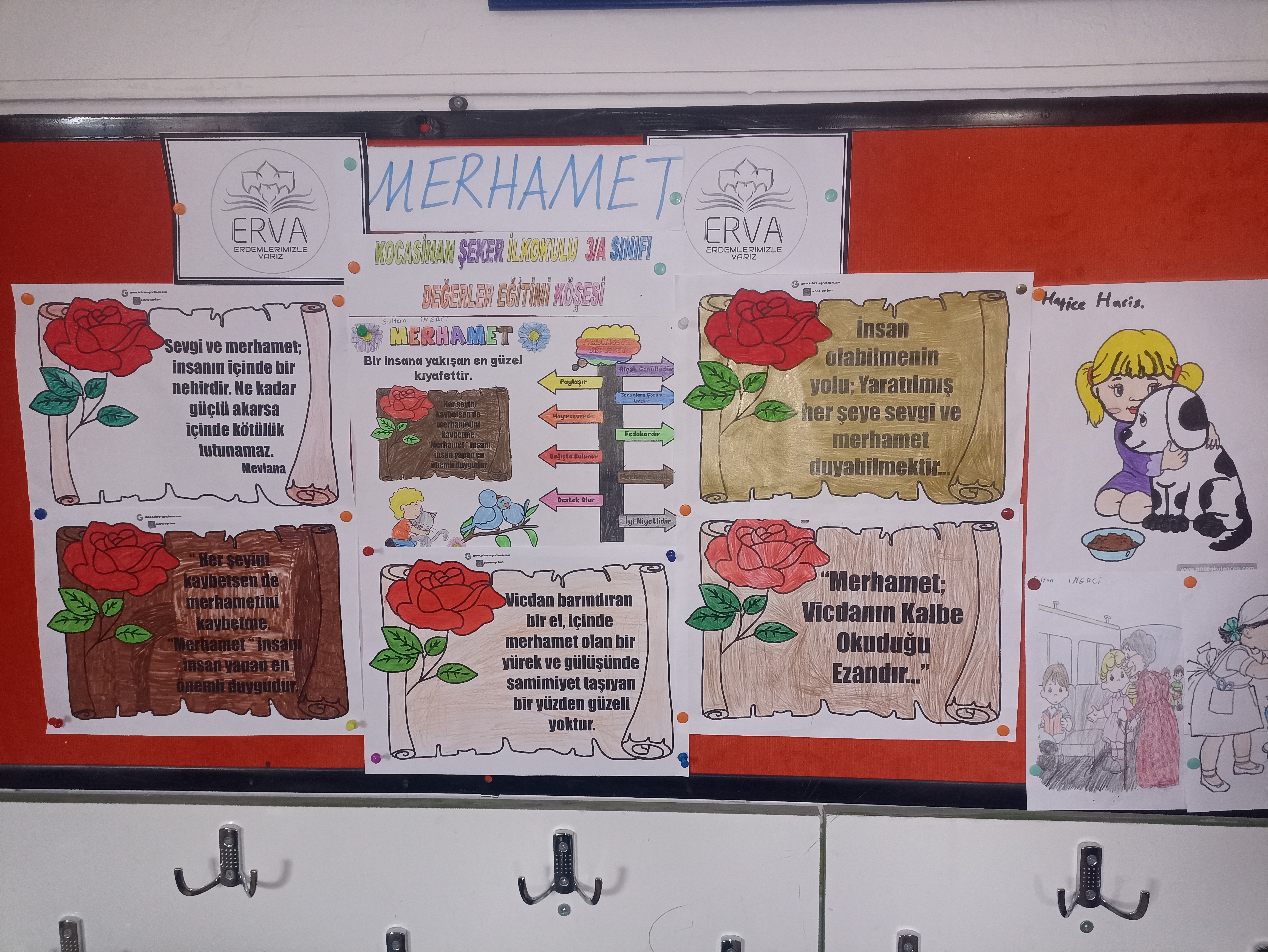 Merhamet Pano